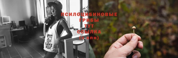 хмурый Балабаново