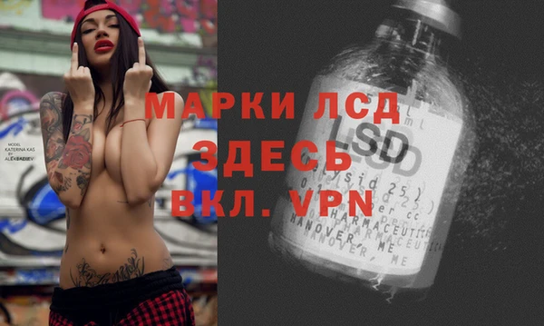 стаф Балахна